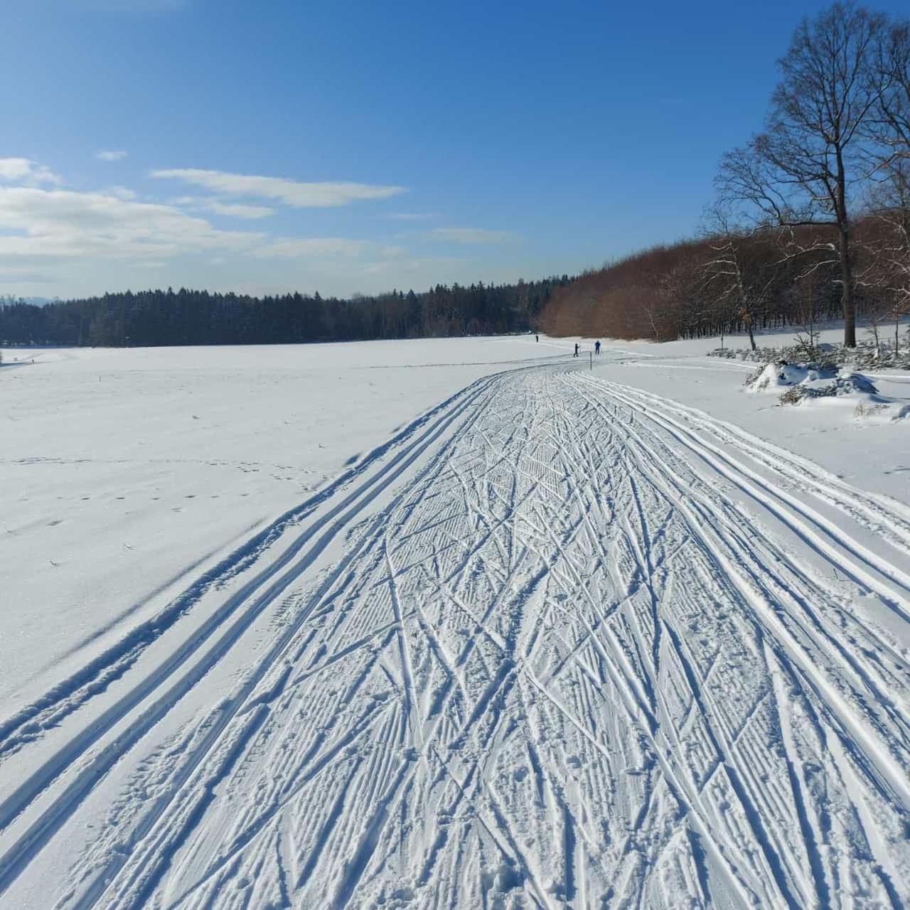 Landhotel Waldschloesschen Mit Gaststube Sohland an der Spree Exteriör bild