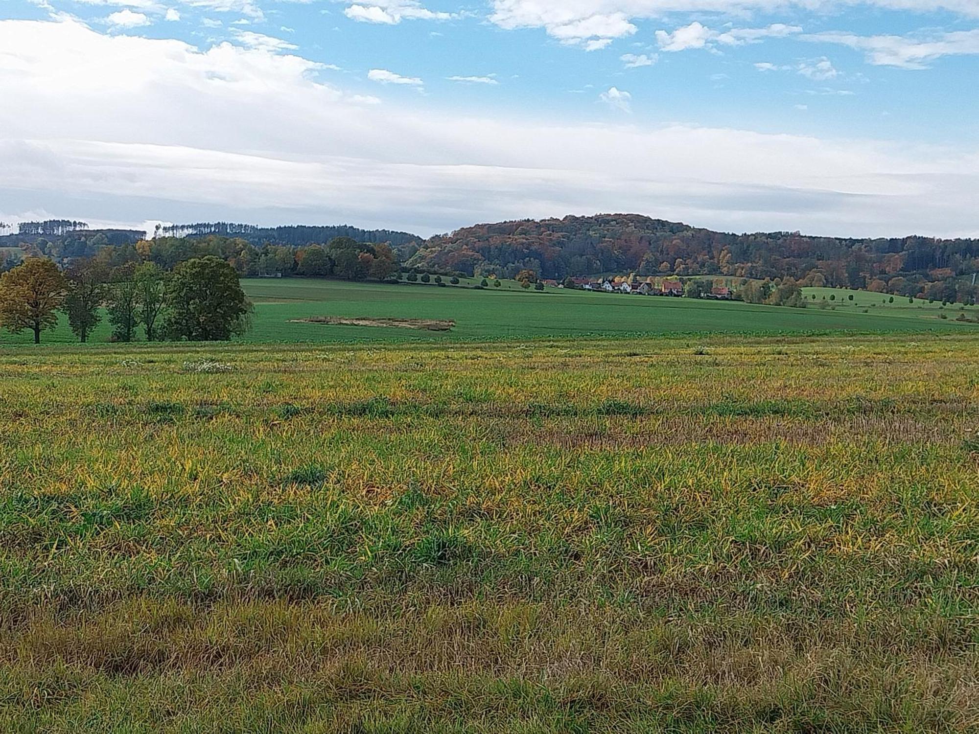 Landhotel Waldschloesschen Mit Gaststube Sohland an der Spree Exteriör bild