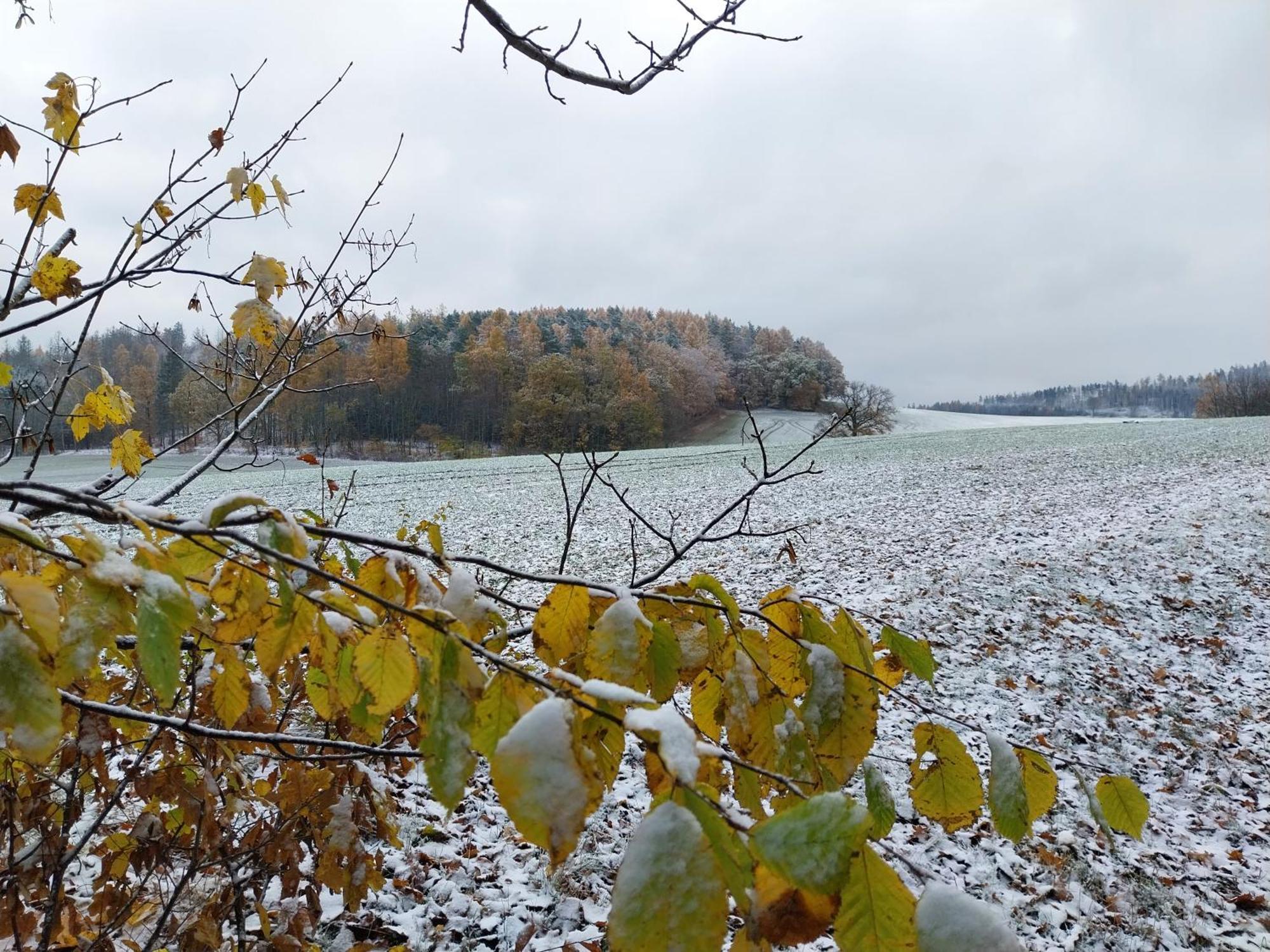 Landhotel Waldschloesschen Mit Gaststube Sohland an der Spree Exteriör bild